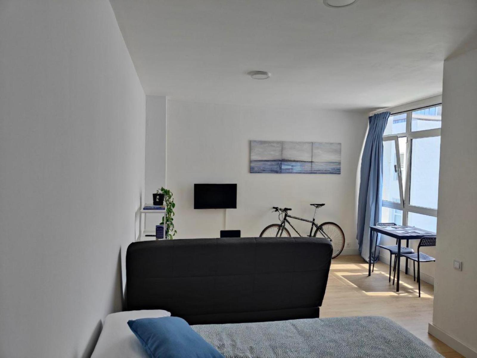 Estudio Canteras Las Palmas de Gran Canaria